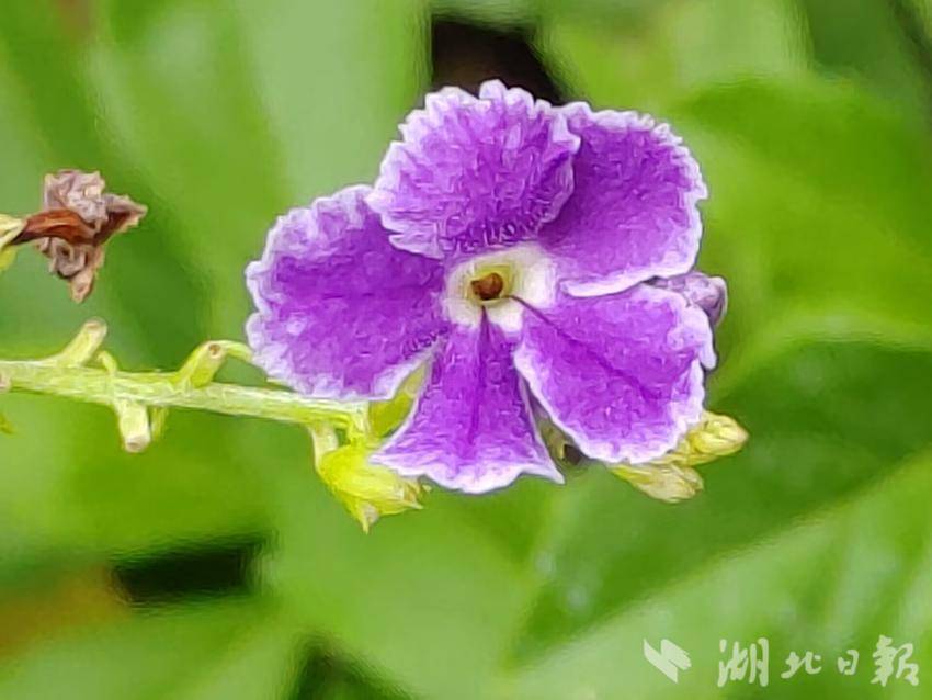 4399老虎机无限钱